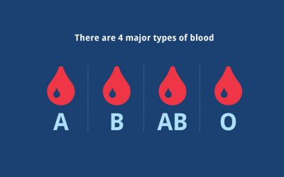 Which blood type is most needed?